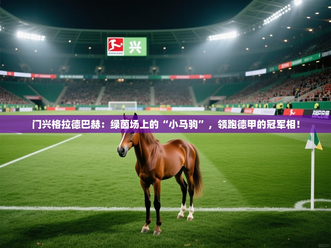 门兴格拉德巴赫：绿茵场上的“小马驹”，领跑德甲的冠军相！  第2张